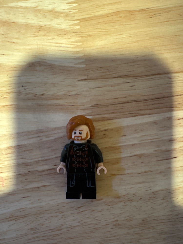 Minifig hp447