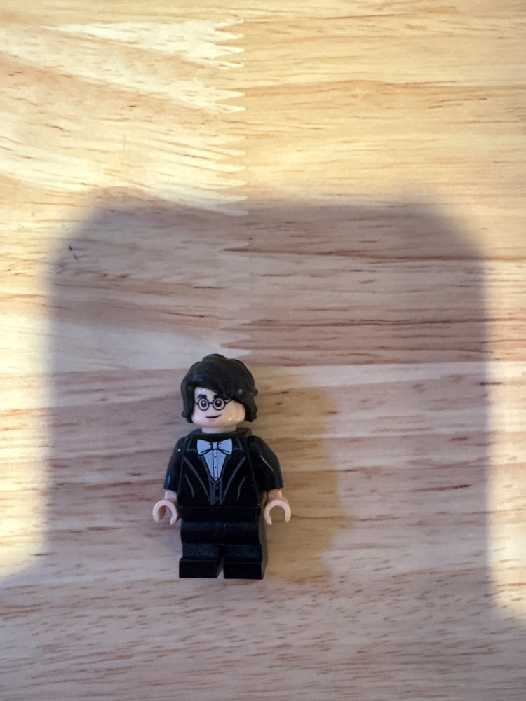Minifig hp184