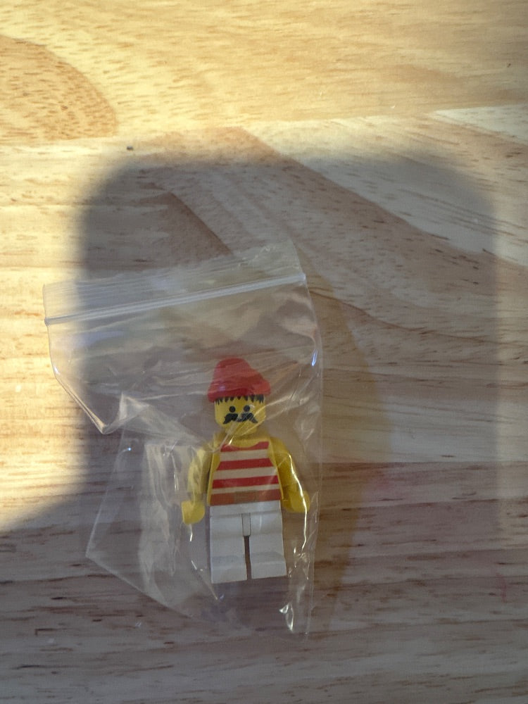Minifig pi045