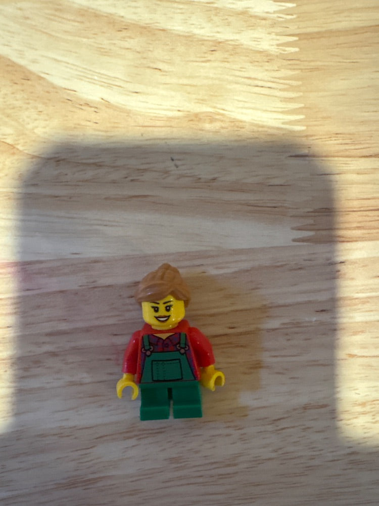 Minifig twn262