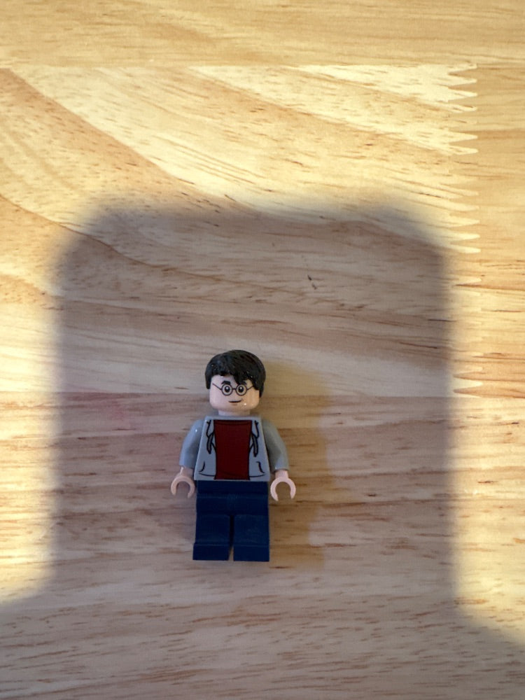 Minifig hp213