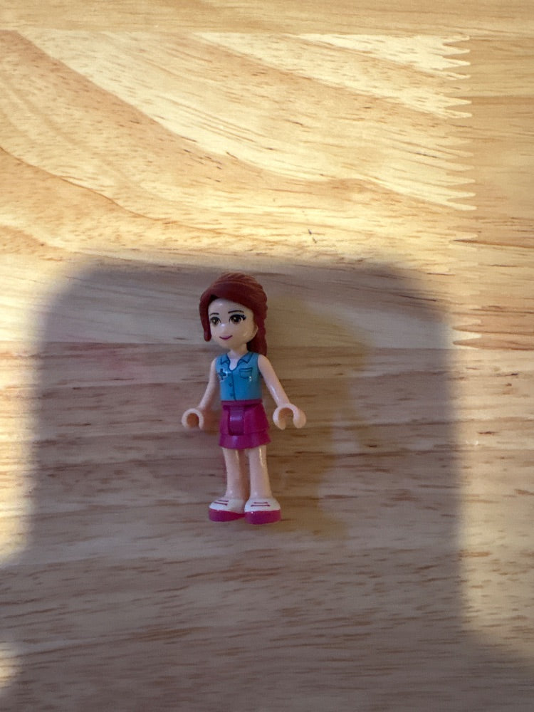 Minifig frnd0098