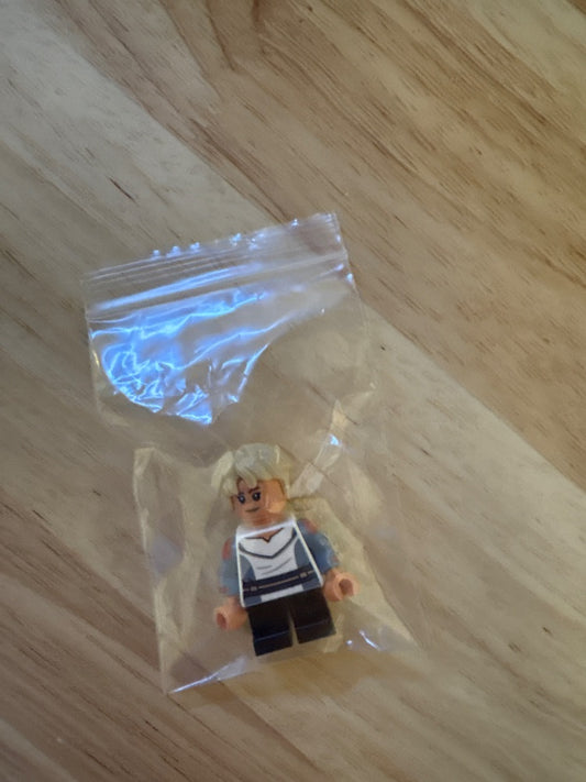 Minifig sw1214