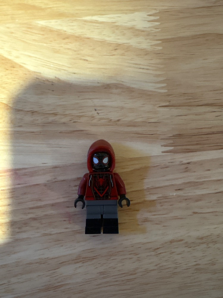 Minifig sh0679