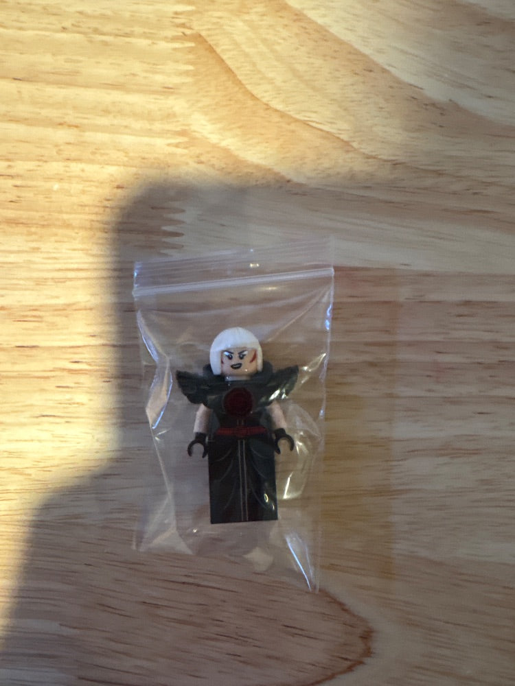 Minifig sh0333