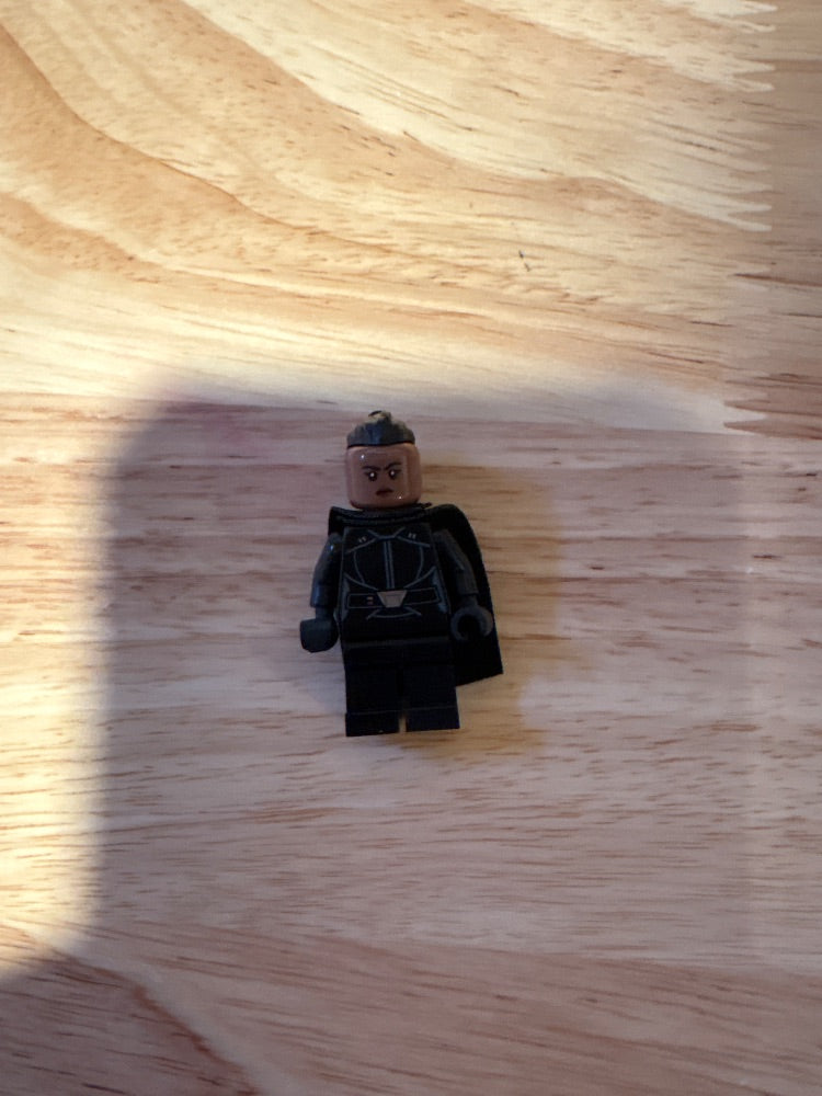 Minifig sw1237