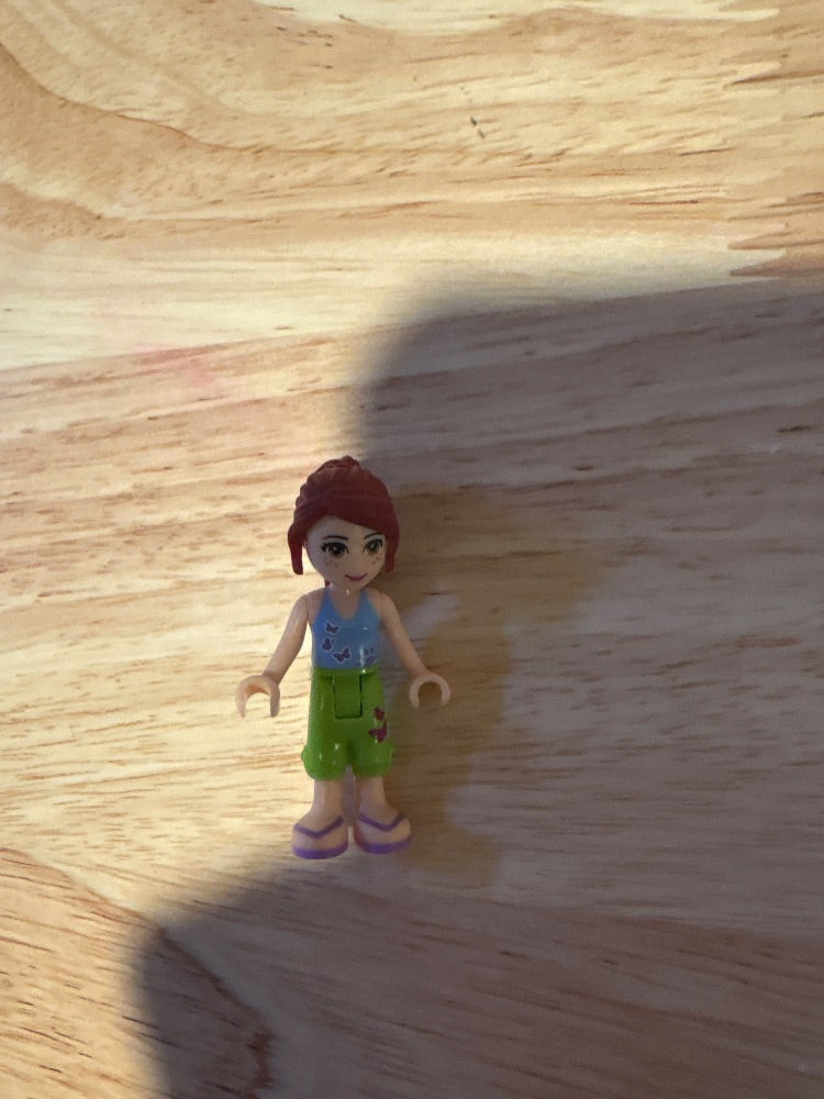 Minifig frnd0167